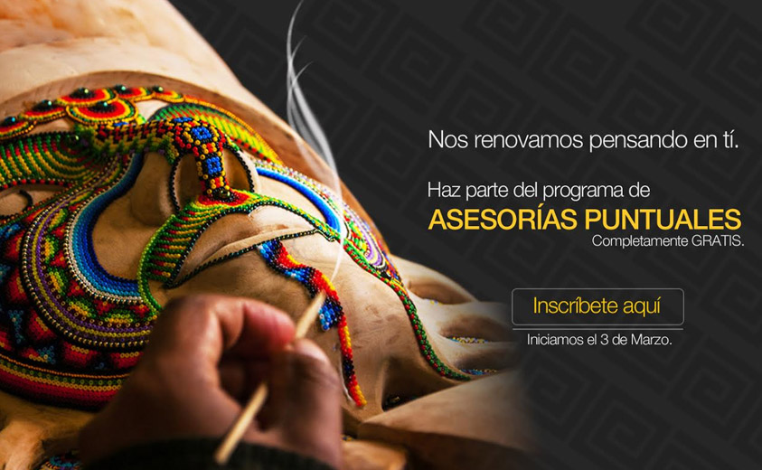 Asesorías Puntuales