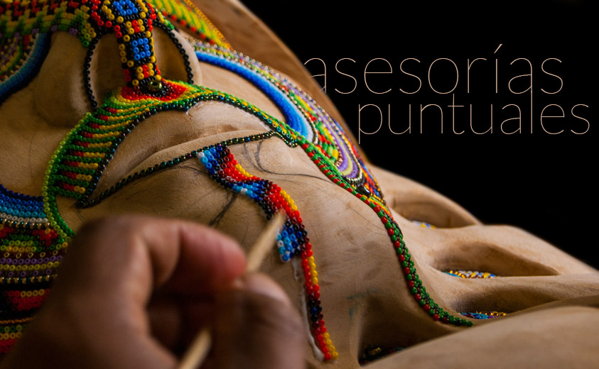 Asesorías puntuales 2014