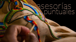Asesorías puntuales 2014