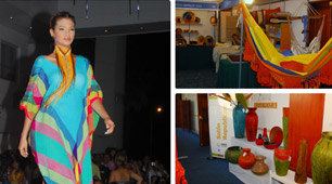 FAREX 2014