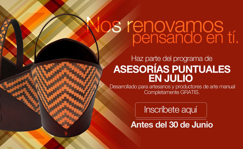 Jornada de Asesorías puntuales