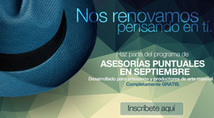 Asesorías Puntuales