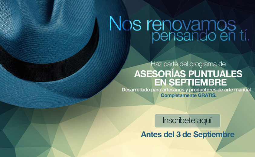 Asesorías Puntuales