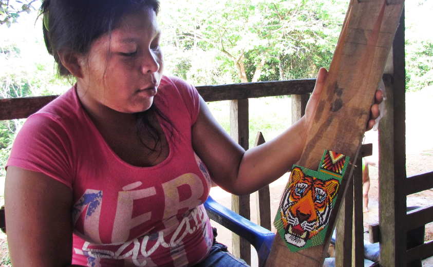 Comunidad La Cristalina Comunidad La Cristalina
