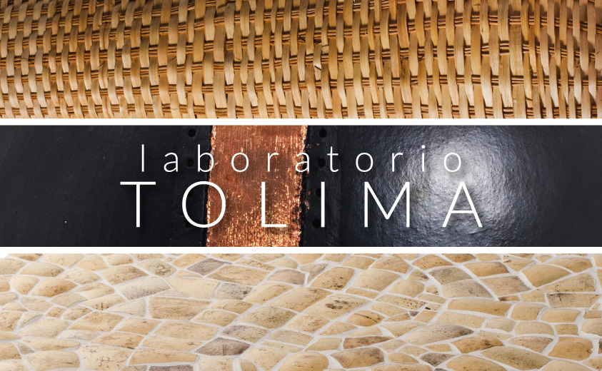 Proyecto Tolima Proyecto Tolima