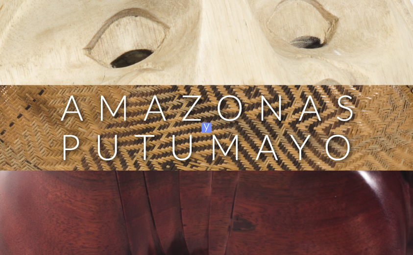 Proyectos Amazonas y Putumayo Proyectos Amazonas y Putumayo