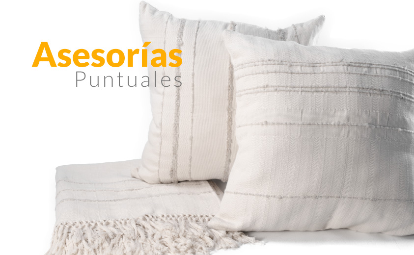 Asesorías puntuales