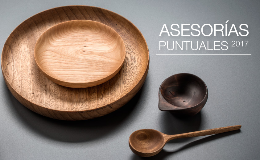 Programa Asesorías Puntuales