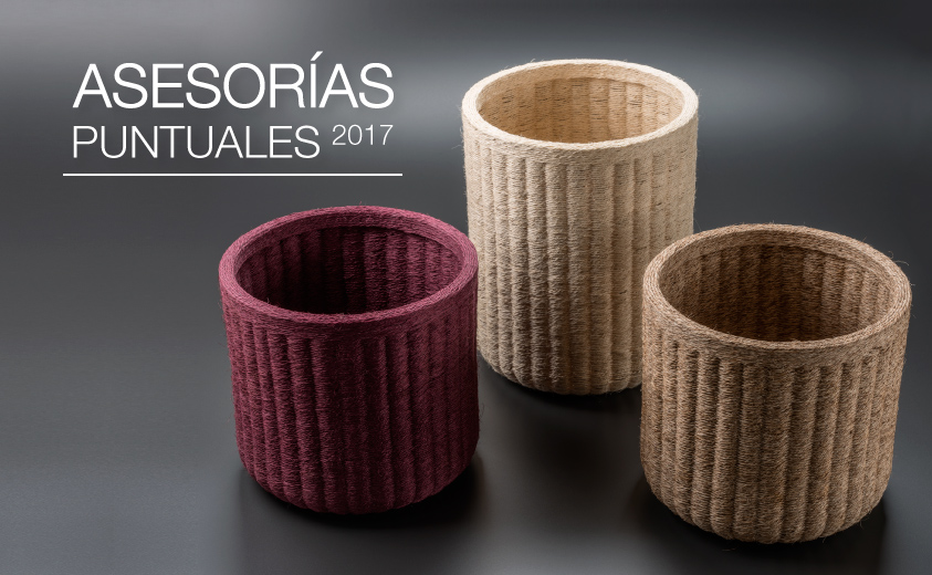 asesorías puntuales