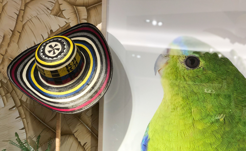 Artesanías colombianas en Bergdorf Goodman, Nueva York. 