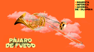 Concierto de la Sinfónica Nacional para los Artesanos