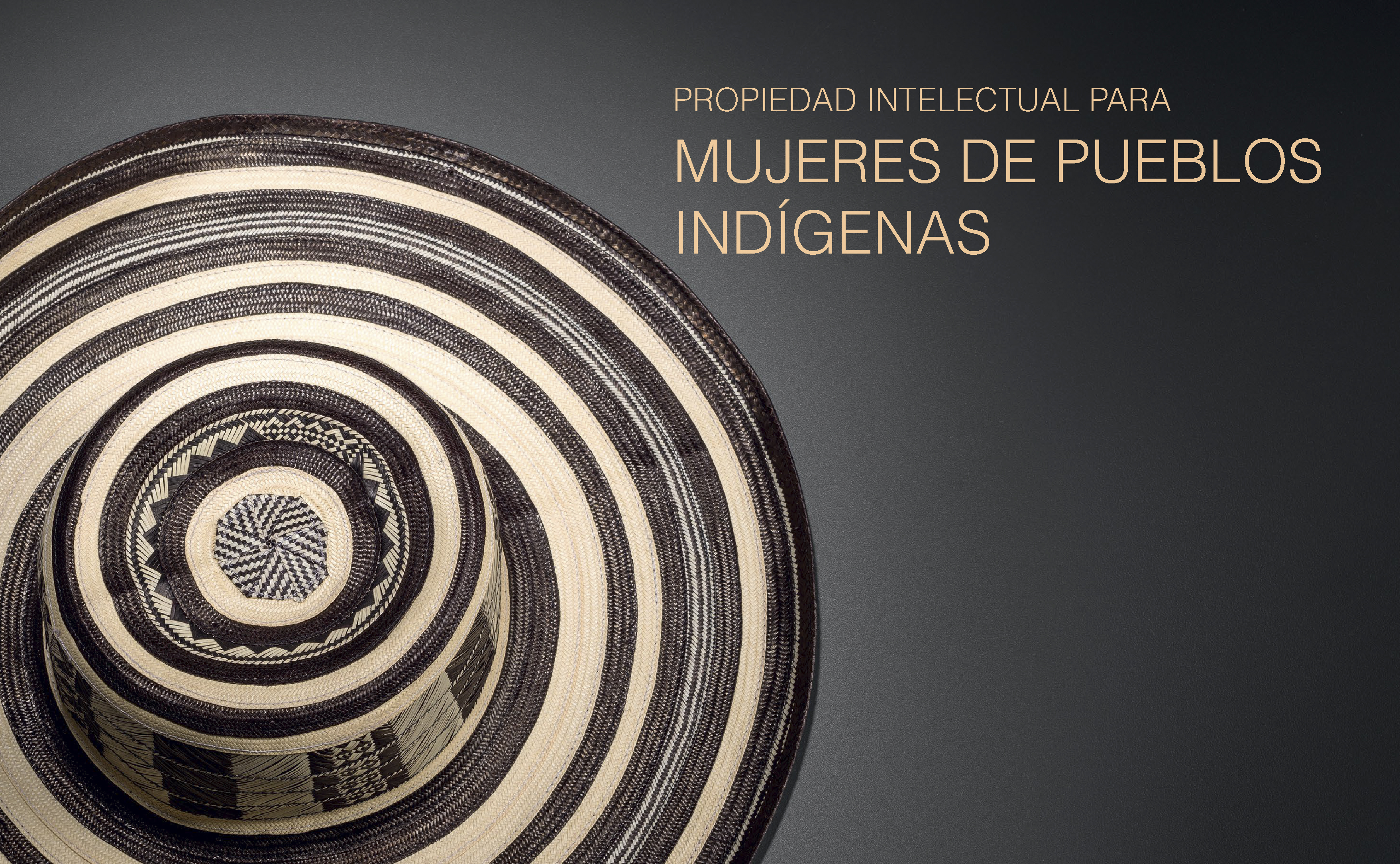 Talleres de propiedad intelectual