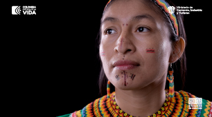 Ejecución presupuestal 2024