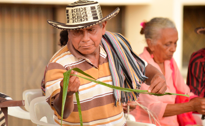 Caña flecha